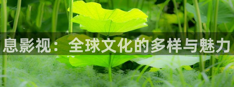 欧洲午夜在线视频