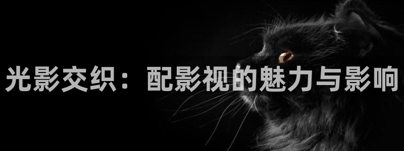 啊啊啊午夜影院