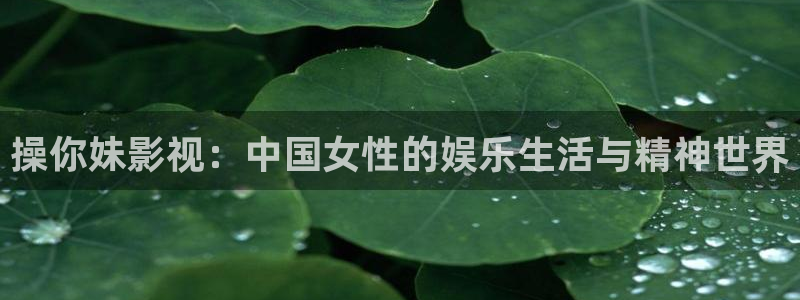 午夜蜜桃av精品