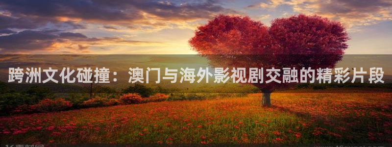 8050午夜电影