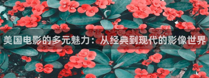 午夜拍拍大片