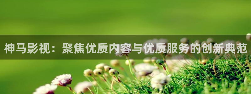 午夜av大片
