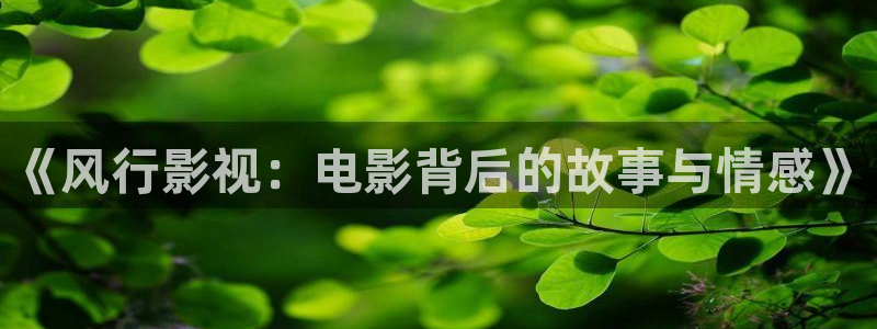 午夜乱理大片在线