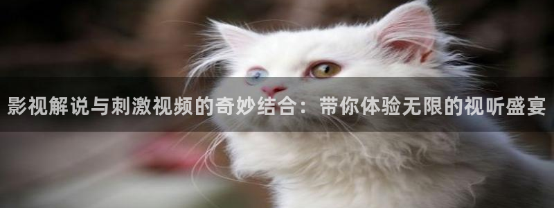 午夜国产精品电影剧情