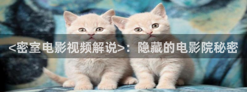 达达兔午夜在线观看影院