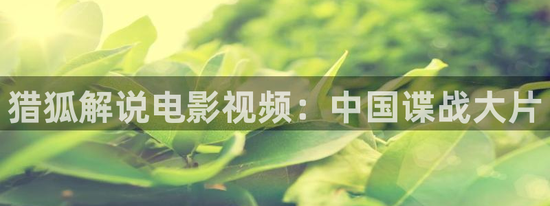 午夜aa电影