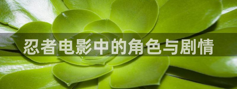日本精品午夜电影