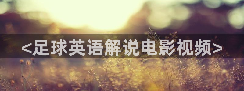 午夜高清免费在线