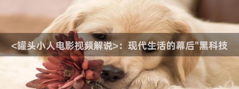 www.午夜片