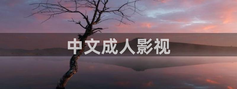 日韩午夜电影在线观看