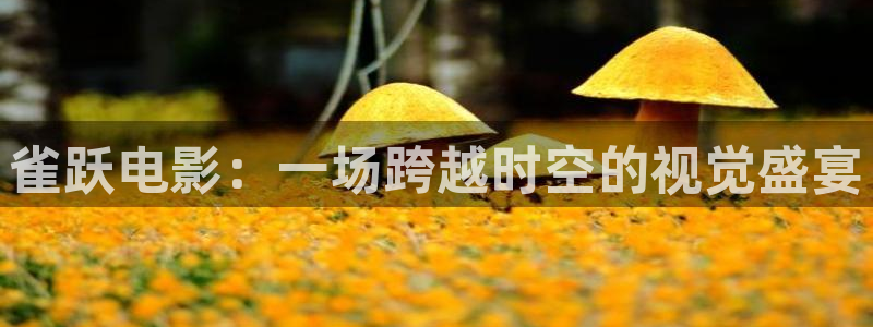 久久久午夜片