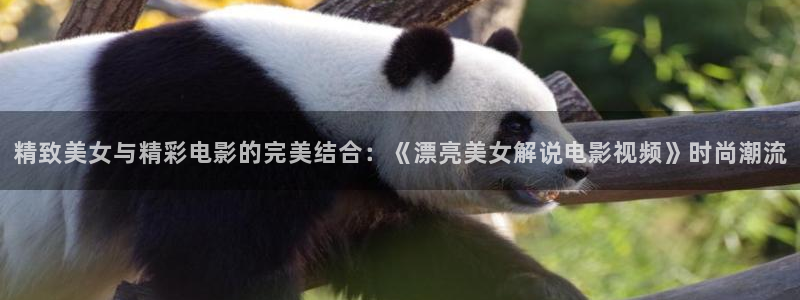 午夜dj免费观看视频完整版