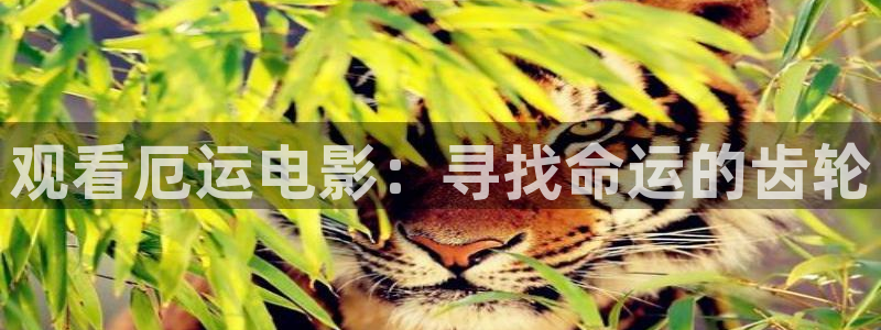 国外成人午夜电影