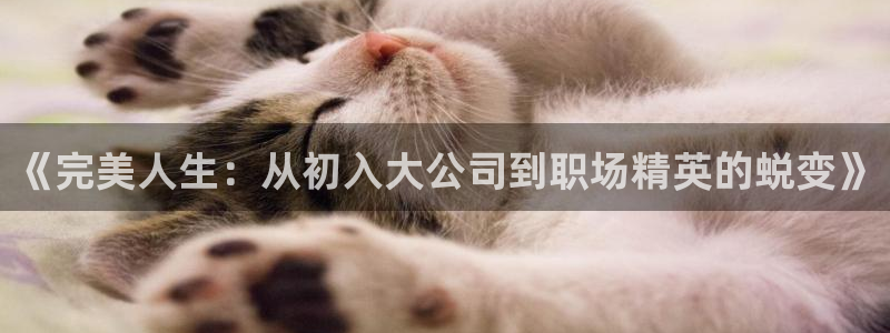 eeuss秋霞午夜免费影院