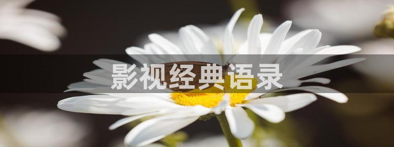 久草电影午夜
