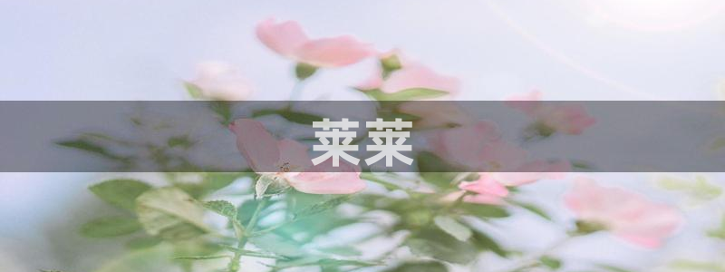 免费午夜小视频观看