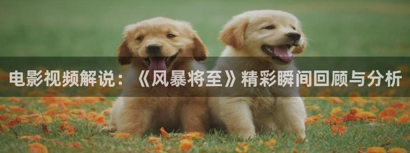 欧美午夜三级缴情性影院