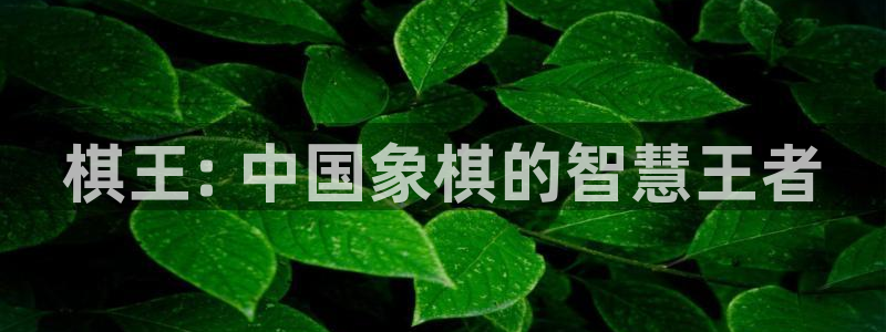 福利片午夜