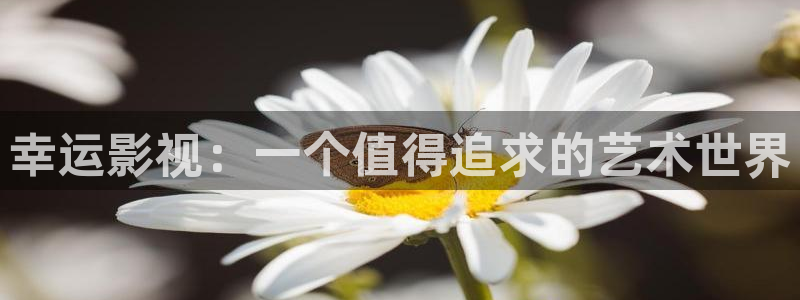 成都午夜电影