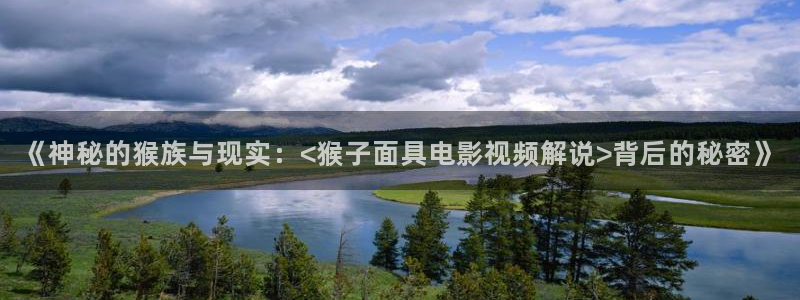 神马达达兔影院午夜