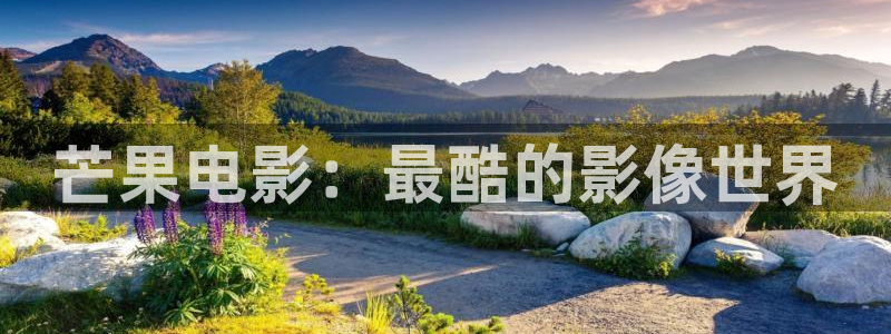 午夜看片操
