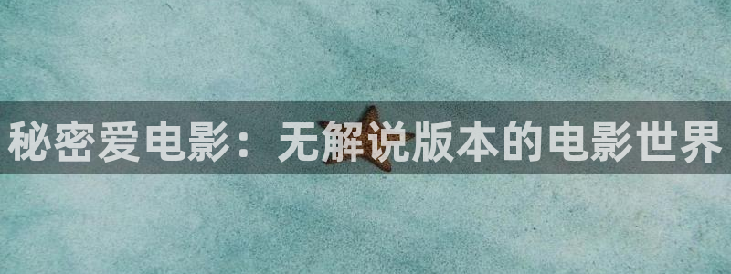 手机神马午夜电影