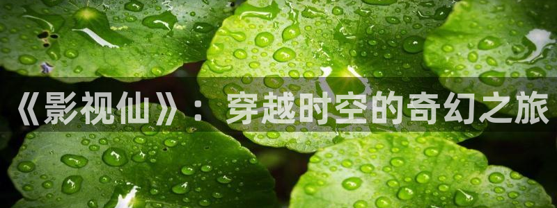 午夜影院在线免费观看