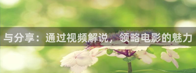 97午夜看片