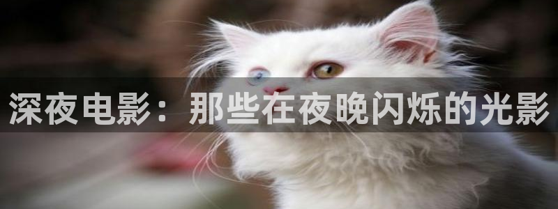 午夜黄色免费影片