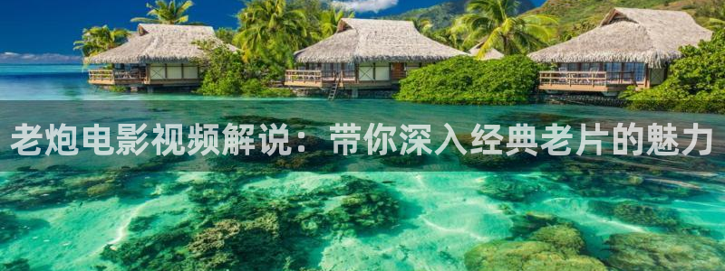 午夜高清国产一区