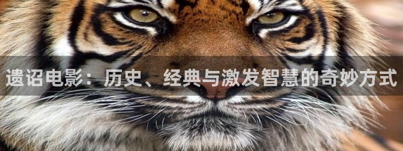 琪琪电影午夜理论片八戒八戒