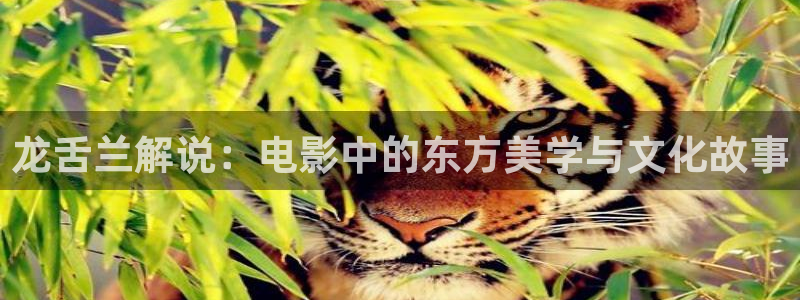 电影午夜迷案
