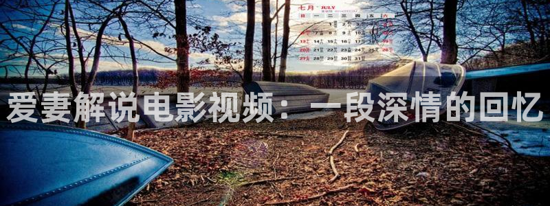 午夜激情视频观看