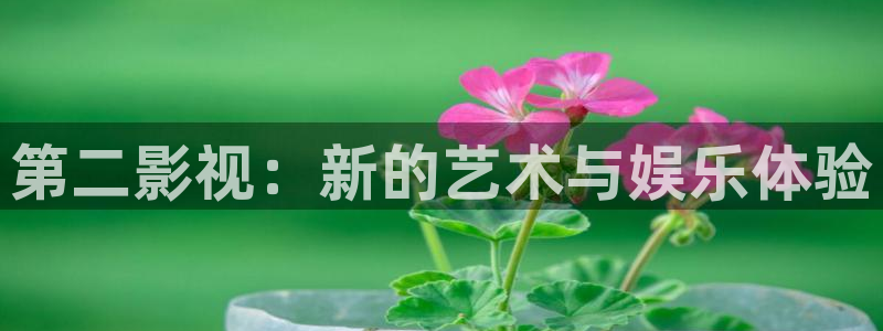 87午夜免费视频