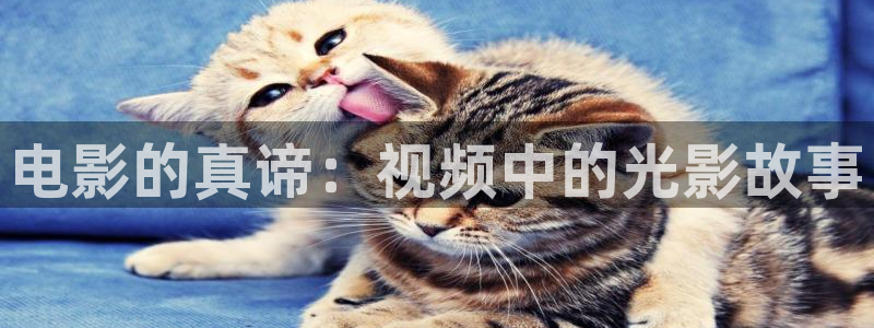 神马午夜电影网手机